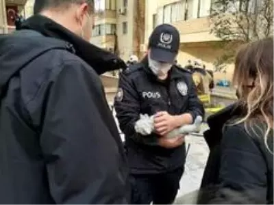 Son dakika haberi: Yangında mahsur kalan yavru kediyi polis memuru kurtardı Son dakika haberi: Yangında mahsur kalan yavru kediyi polis memuru kurtardı