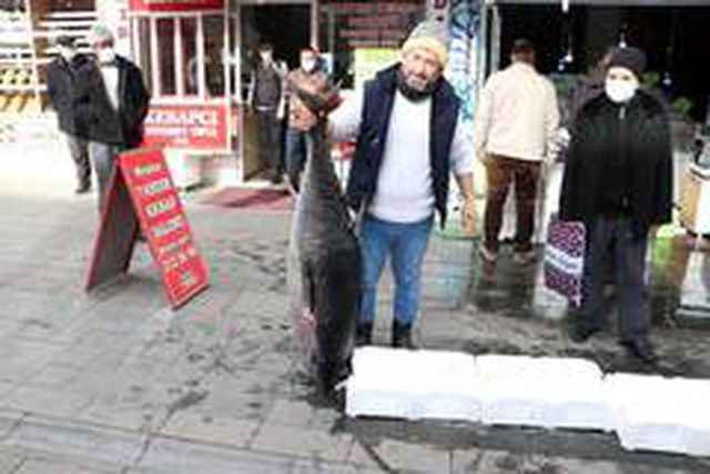 75 kilogramlık orkinos balığını 3 kişi zor kaldırdı