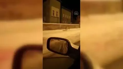 Aç kalan kurt yerleşim yerlerinde yiyecek aradı Aç kalan kurt yerleşim yerlerinde yiyecek aradı