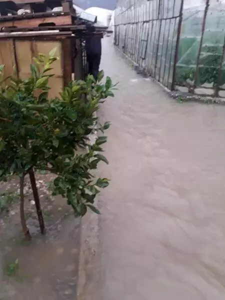 Kaş'ta sağanak nedeniyle seraları su bastı (3) Kaş'ta sağanak nedeniyle seraları su bastı (3)