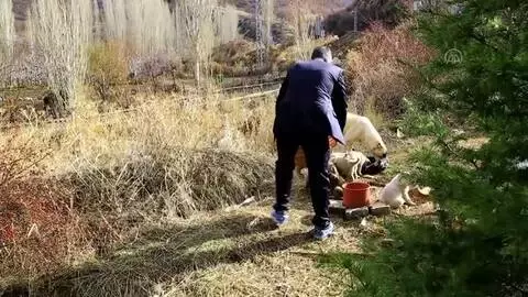 Engelli köpeğe ve 11 yavrusuna 'koronavirüs savaşçıları' sahip çıktı Engelli köpeğe ve 11 yavrusuna 'koronavirüs savaşçıları' sahip çıktı