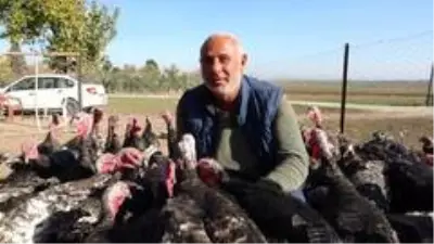 Hindiler onu kendi işinin patronu yaptı Hindiler onu kendi işinin patronu yaptı