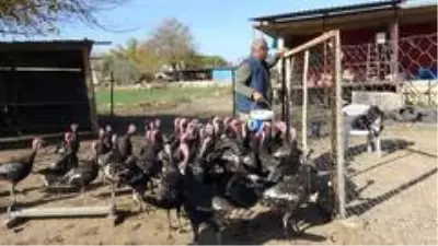 Hindiler onu kendi işinin patronu yaptı Hindiler onu kendi işinin patronu yaptı