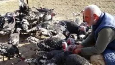 Hindiler onu kendi işinin patronu yaptı Hindiler onu kendi işinin patronu yaptı
