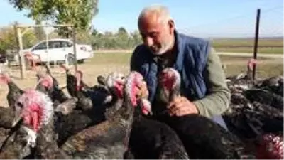 Hindiler onu kendi işinin patronu yaptı Hindiler onu kendi işinin patronu yaptı