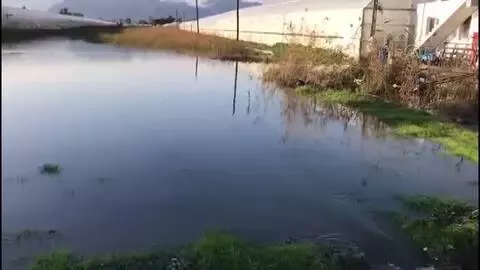 Kaş'ta sağanak nedeniyle seraları su bastı (3) Kaş'ta sağanak nedeniyle seraları su bastı (3)