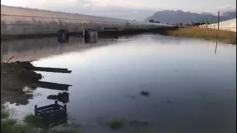 Kaş'ta sağanak nedeniyle seraları su bastı (3) Kaş'ta sağanak nedeniyle seraları su bastı (3)