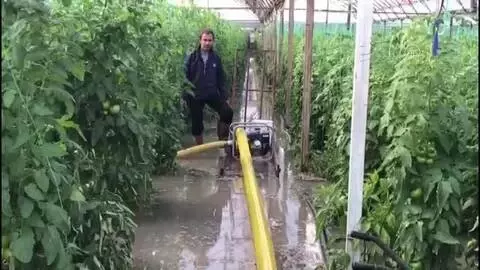 Kaş'ta sağanak nedeniyle seraları su bastı (3) Kaş'ta sağanak nedeniyle seraları su bastı (3)