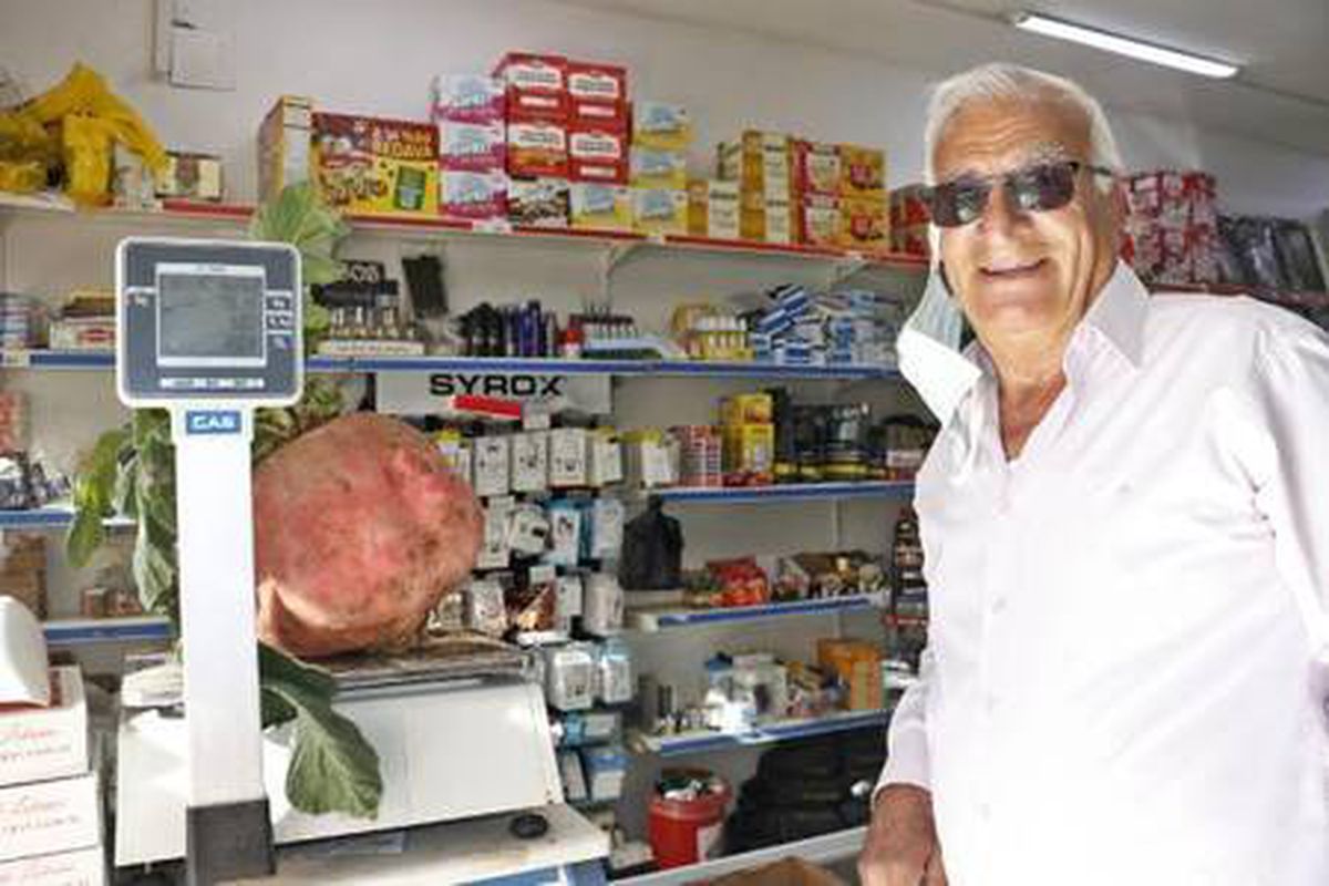 Mardin'de yetiştirilen 7 kilo 625 gramlık turp şaşırttı