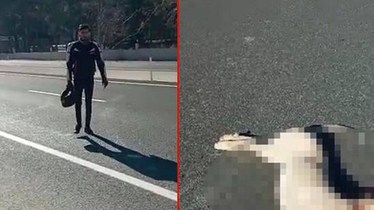 Köpeğe çarparak ölümüne neden olan motosiklet sürücüsünün sözleri yok artık dedirtti
