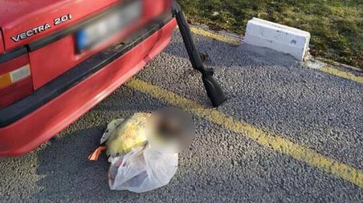 Ördek avlayan kişiyi affetmeyen ekipler, 2 bin TL'lik cezayı eline tutuşturdu