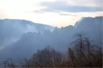 Son dakika 3. sayfa: - Ordu'daki orman yangını kontrol altına alındı Son dakika 3. sayfa: - Ordu'daki orman yangını kontrol altına alındı