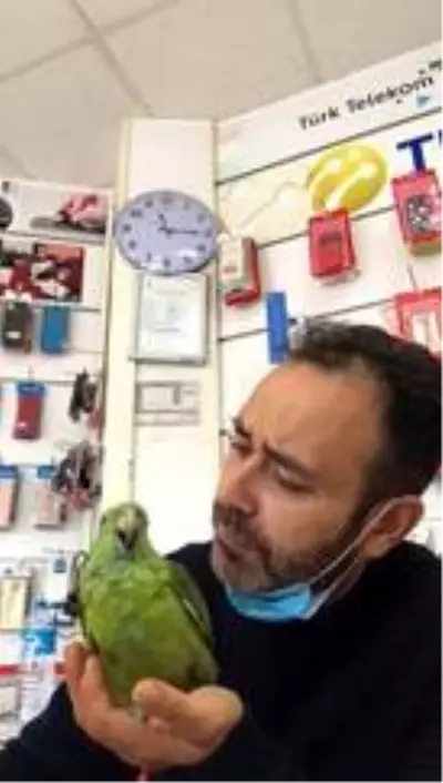 Papağan Melo sosyal medyada fenomen oldu