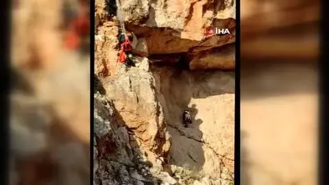 Son dakika haberleri: - Uçurumda mahsur kalan keçiye kurtarma operasyonu Son dakika haberleri: - Uçurumda mahsur kalan keçiye kurtarma operasyonu