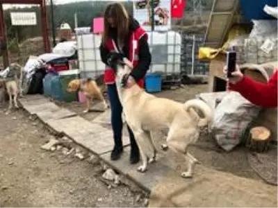 Üniversite öğrencileri engelli ve yavru köpekleri besledi Üniversite öğrencileri engelli ve yavru köpekleri besledi