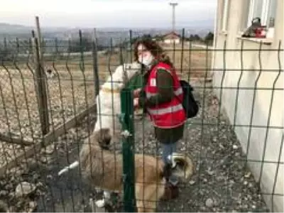 Üniversite öğrencileri engelli ve yavru köpekleri besledi Üniversite öğrencileri engelli ve yavru köpekleri besledi