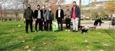 Başkan Şayir, sokak hayvanlarını unutmadı Başkan Şayir, sokak hayvanlarını unutmadı