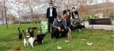 Başkan Şayir, sokak hayvanlarını unutmadı Başkan Şayir, sokak hayvanlarını unutmadı