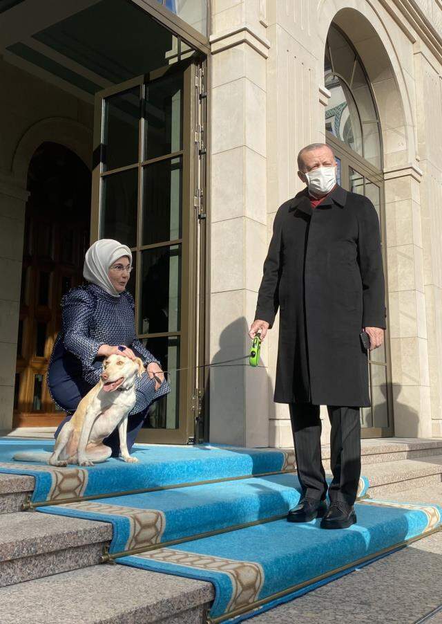 Cumhurbaşkanı Erdoğan'ı mesaiye Emine Erdoğan ve baktığı 'Leblebi' uğurladı