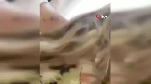 - Eşine kızgın bıçakla işkence eden koca hakim karşısına çıktı - Eşine kızgın bıçakla işkence eden koca hakim karşısına çıktı