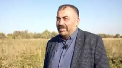 Son dakika haberleri | GÜBRETAŞ'ın model alanlarında verimli hasatlar tamamlandı Son dakika haberleri | GÜBRETAŞ'ın model alanlarında verimli hasatlar tamamlandı