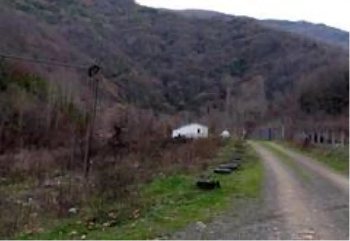 İnternet kabloları çalınan öğrenciler, 15 gündür derslere katılamıyor