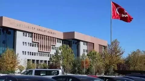 Kargoda kaybolan kedi için tazminat Kargoda kaybolan kedi için tazminat