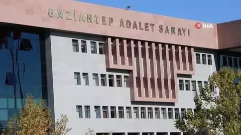 Kargoda kaybolan kedi için tazminat Kargoda kaybolan kedi için tazminat