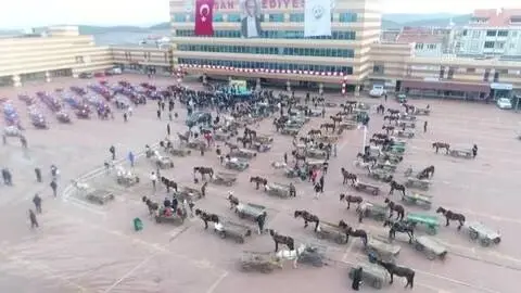 Keşan'da atlar artık yük taşımayacak Keşan'da atlar artık yük taşımayacak