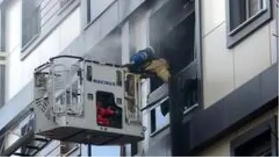 Maltepe'de feci olay: öğretim üyesi kadın önce bıçaklanarak öldürüldü sonra yakıldı Maltepe'de feci olay: öğretim üyesi kadın önce bıçaklanarak öldürüldü sonra yakıldı