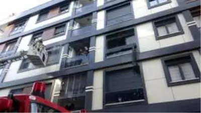 Maltepe'de feci olay: öğretim üyesi kadın önce bıçaklanarak öldürüldü sonra yakıldı Maltepe'de feci olay: öğretim üyesi kadın önce bıçaklanarak öldürüldü sonra yakıldı