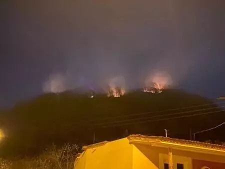 Orman yangını alanında kalp krizi geçirerek ölen şube müdürü için tören düzenlendi Orman yangını alanında kalp krizi geçirerek ölen şube müdürü için tören düzenlendi