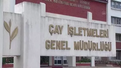 Son Dakika | Salgın döneminde çay satışı arttı Son Dakika | Salgın döneminde çay satışı arttı