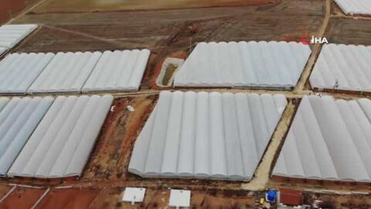 Serada 2 liraya satılan marulun market fiyatı katlanıyor