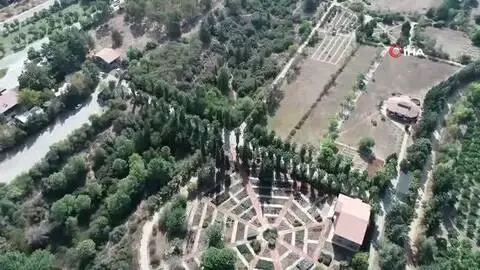 Türkiye'den kaçırdıkları şifalı bitkileri ilaç olarak Türkiye'ye geri satıyorlar Türkiye'den kaçırdıkları şifalı bitkileri ilaç olarak Türkiye'ye geri satıyorlar