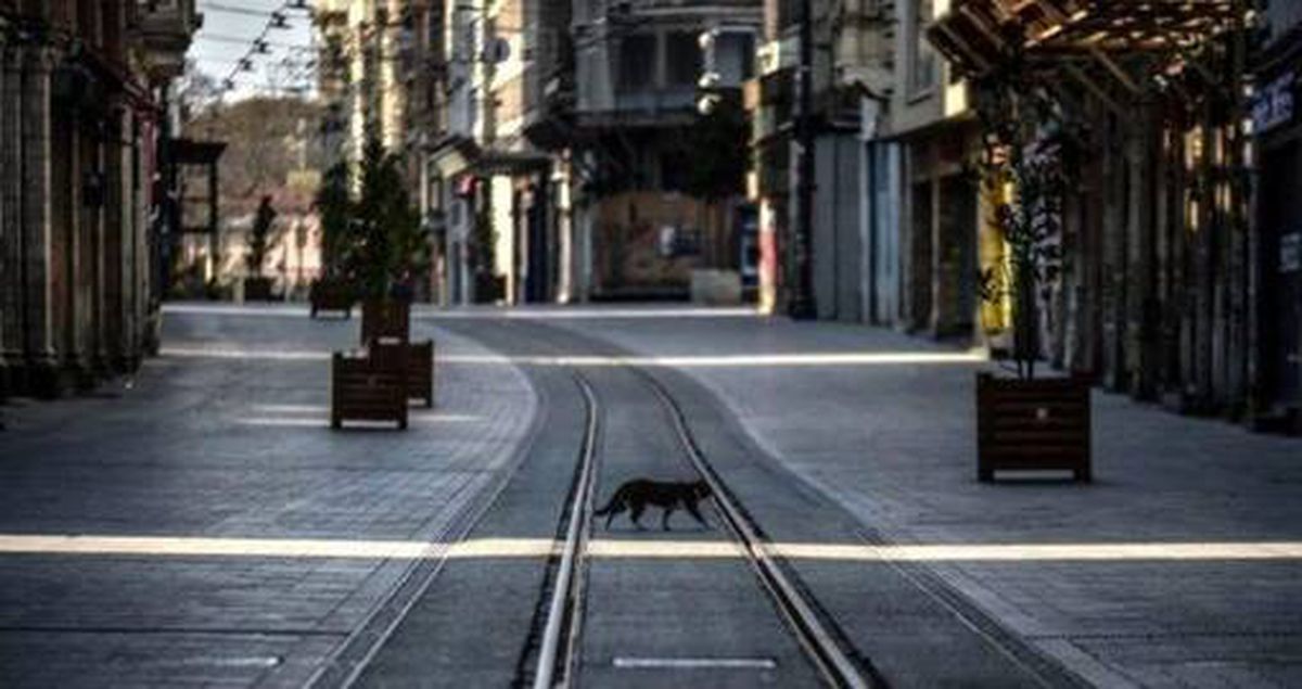 Yılbaşında sokağa çıkma yasağı kaç gün sürecek? Sokağa çıkma yasağı ne zaman başlayacak? Yılbaşında hangi işletmeler açık olacak?