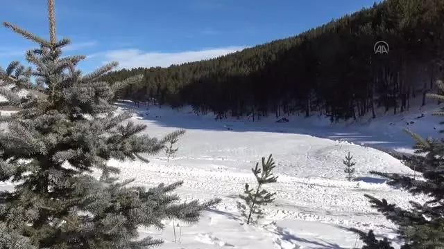 Doğu Anadolu'da dondurucu soğuklar hayatı zorlaştırdı (2)