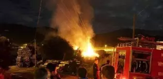 Son dakika haber... Bodrum'da pelet fabrikasında yangın - 2