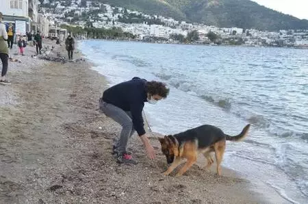 Bodrum'da yılın son gününde hareketli saatler yaşanıyor
