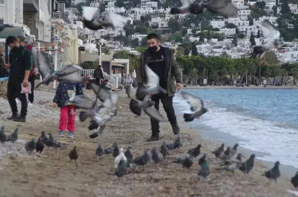 Bodrum'da yılın son gününde hareketli saatler yaşanıyor