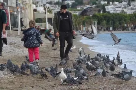 Bodrum'da yılın son gününde hareketli saatler yaşanıyor