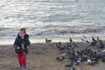 Bodrum'da yılın son gününde hareketli saatler yaşanıyor