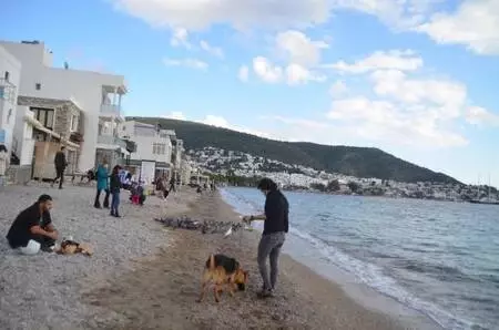 Bodrum'da yılın son gününde hareketli saatler yaşanıyor