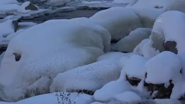 Doğu Anadolu'da dondurucu soğuklar