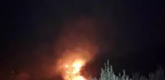 Hatay'da zeytinlik yangını