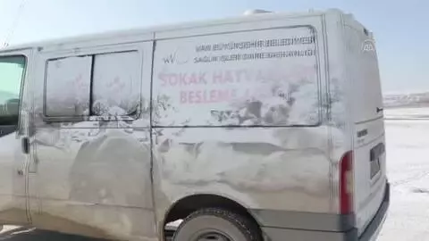 Kısıtlama öncesi sokak hayvanları için yemleme çalışması yapıldı