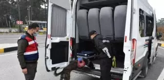 Marmaris'e gelenlerin araçları jandarmanın dedektör kepekleri ile arandı