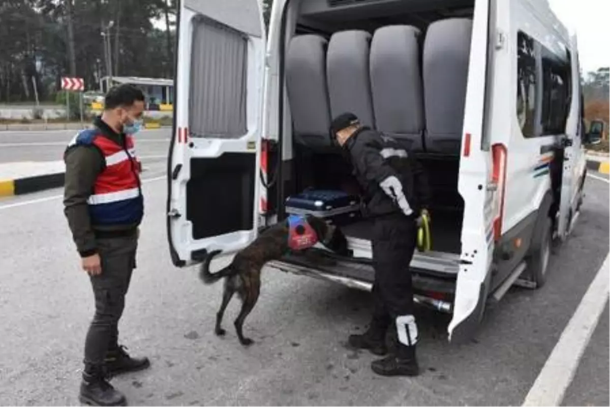 Marmaris'e gelenlerin araçları jandarmanın dedektör kepekleri ile arandı