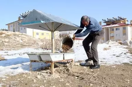 Son dakika haberi: Van'da, kısıtlama öncesi sokak hayvanları unutulmadı