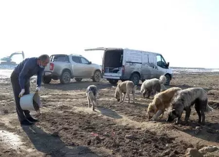 Son dakika haberi: Van'da, kısıtlama öncesi sokak hayvanları unutulmadı